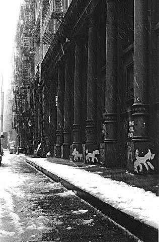Snow dogs © 1999 wrg
