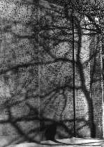 battery park © 1999 wrg