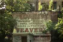 Weaver's